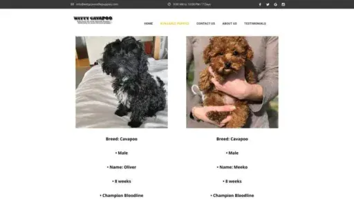 Screenshot of