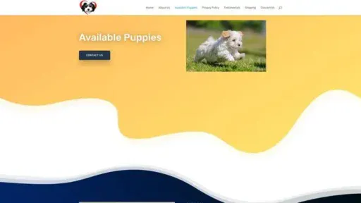 Screenshot of