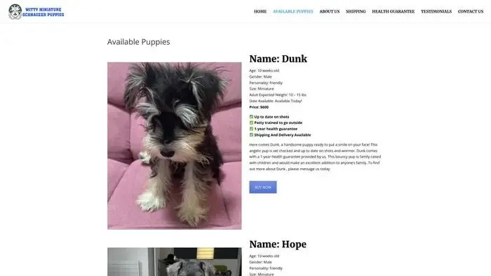 Screenshot of
