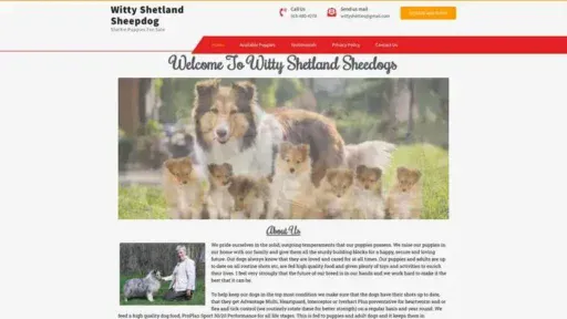 Screenshot of