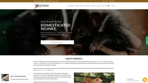 Screenshot of|