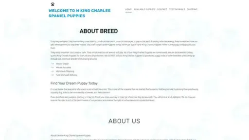 Screenshot of