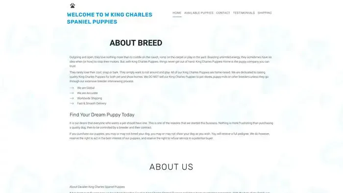 Screenshot of