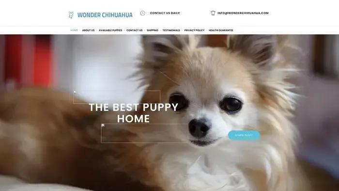 Screenshot of
