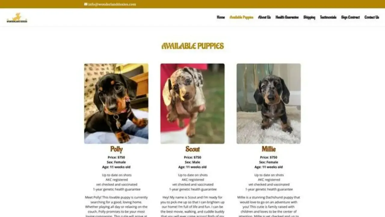 Wonderlanddoxies