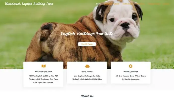 Screenshot of