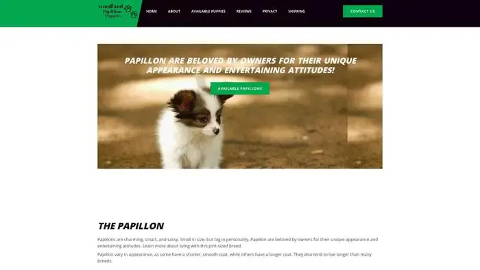 Screenshot of