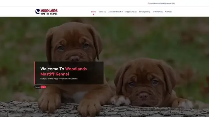 Screenshot of