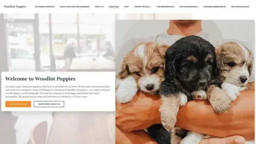 Screenshot of