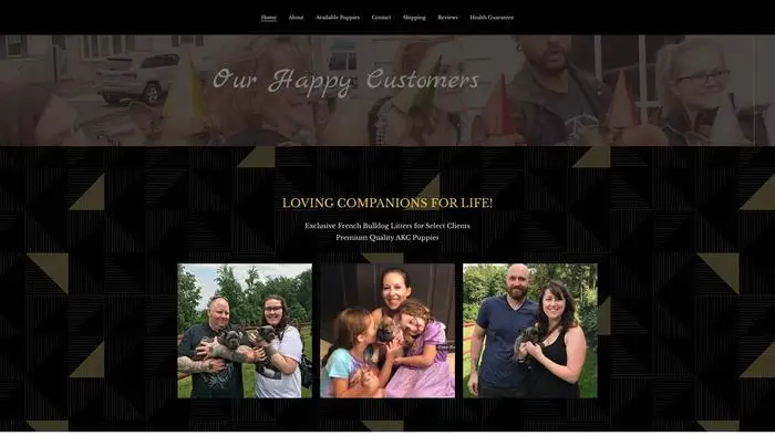 Screenshot of