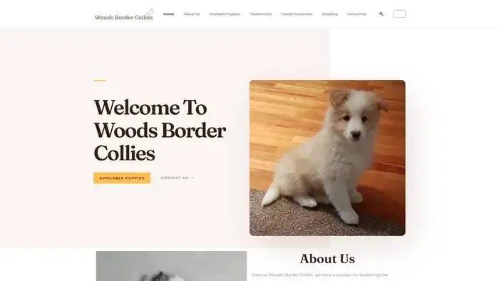 Screenshot of