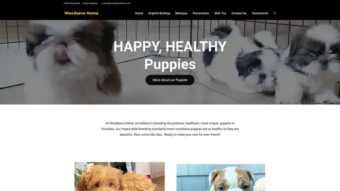 Screenshot of