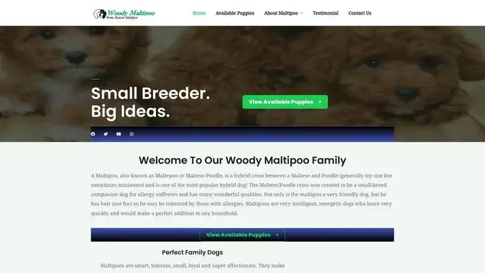 Screenshot of