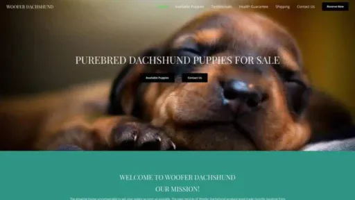 Screenshot of||