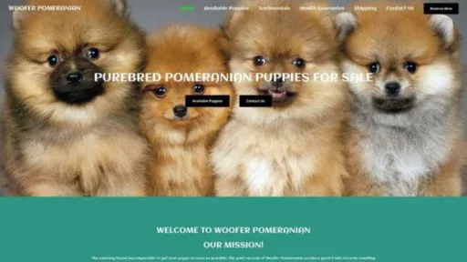 Screenshot of||