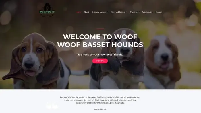 Screenshot of