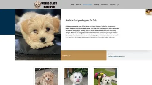 Screenshot of