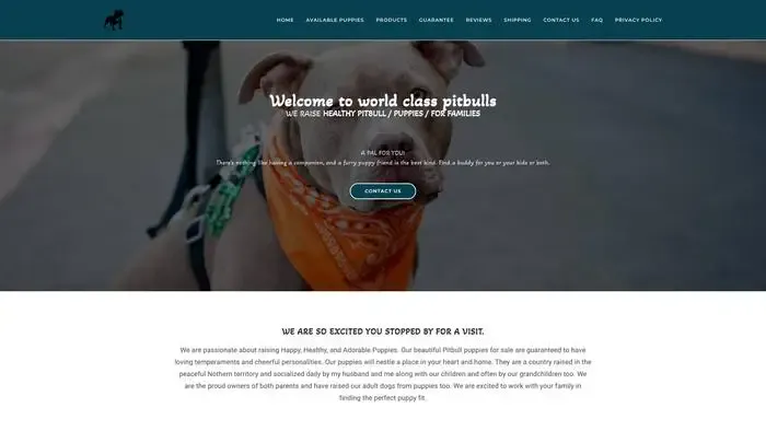 Screenshot of