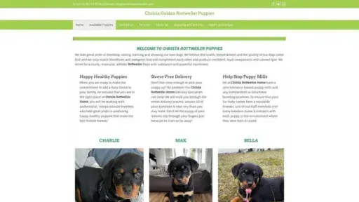 Screenshot of