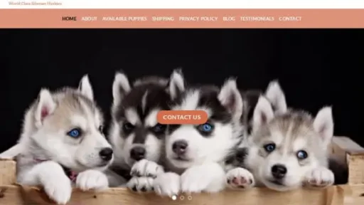 Screenshot of