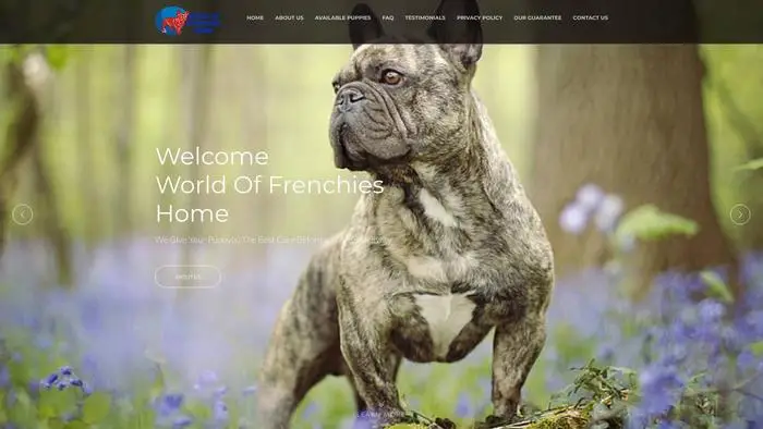 Screenshot of