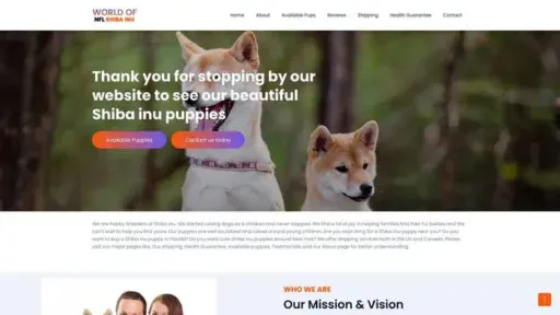 Screenshot of