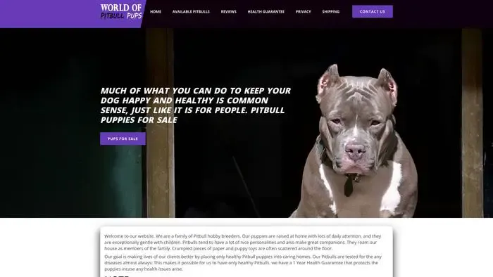 Screenshot of