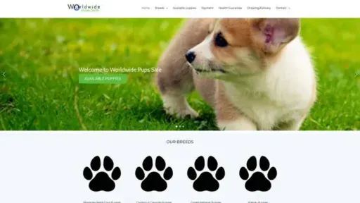 Screenshot of