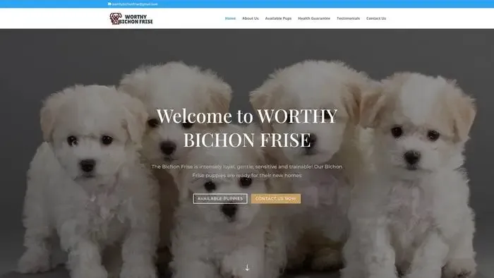 Screenshot of