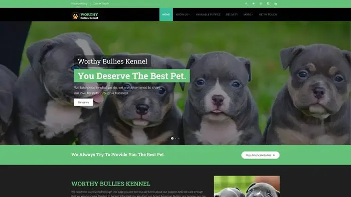 Screenshot of