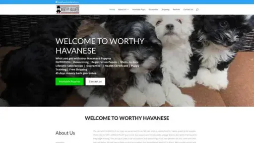 Screenshot of