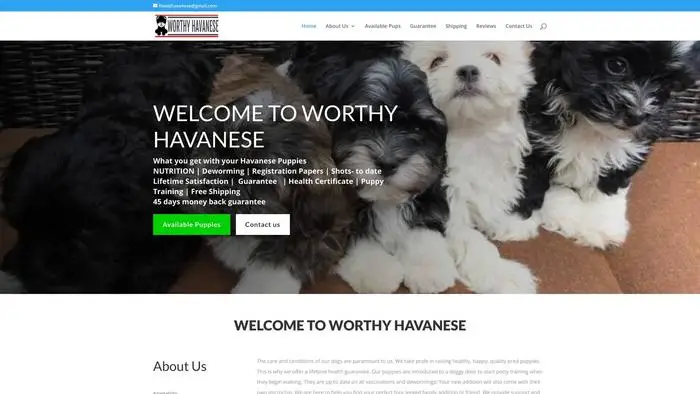 Screenshot of