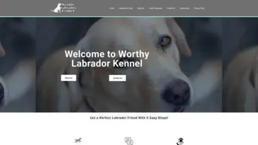 Screenshot of