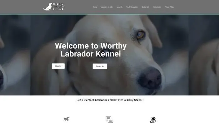 Screenshot of