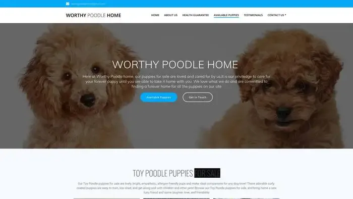Screenshot of