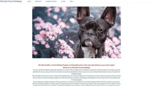 Screenshot of