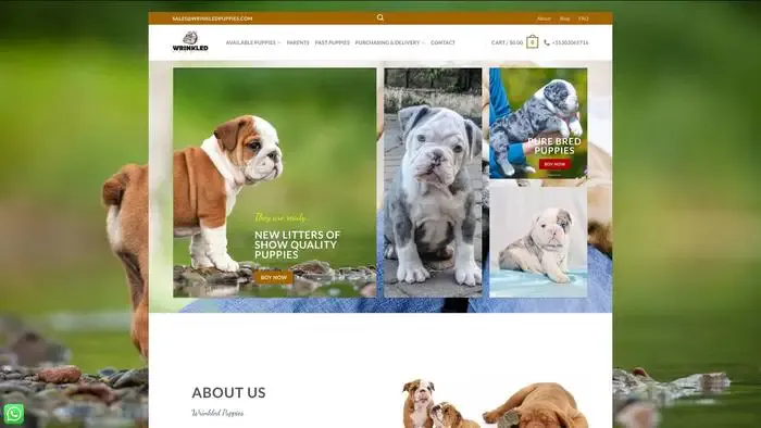 Screenshot of