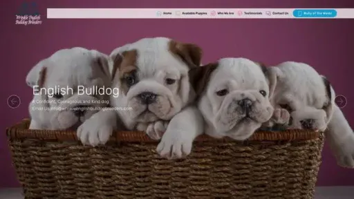 Screenshot of