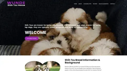 Screenshot of