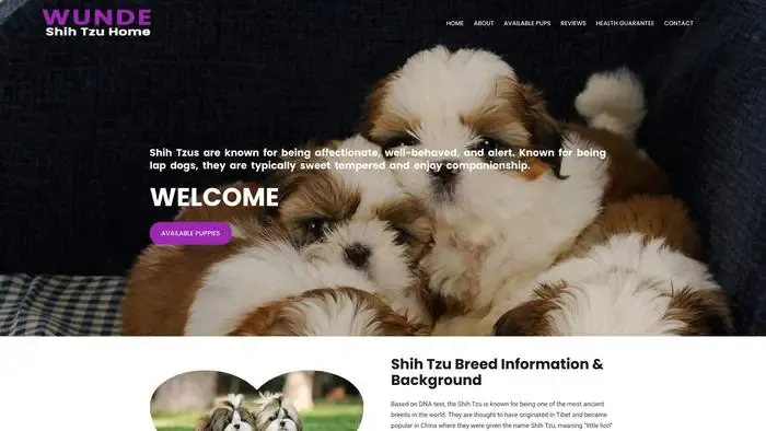 Screenshot of