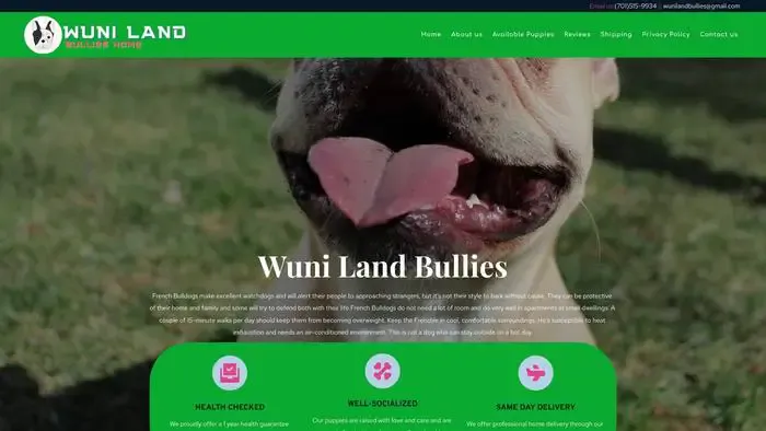 Screenshot of