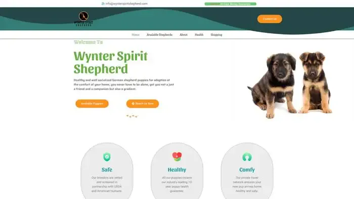 Screenshot of