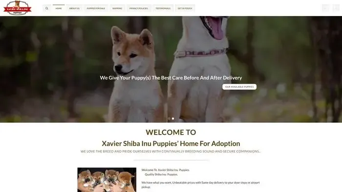 Screenshot of
