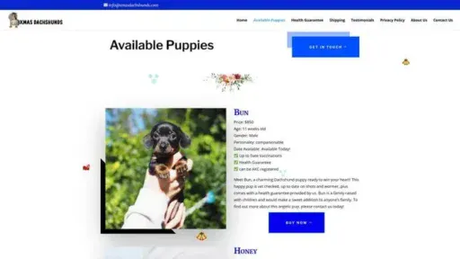 Screenshot of