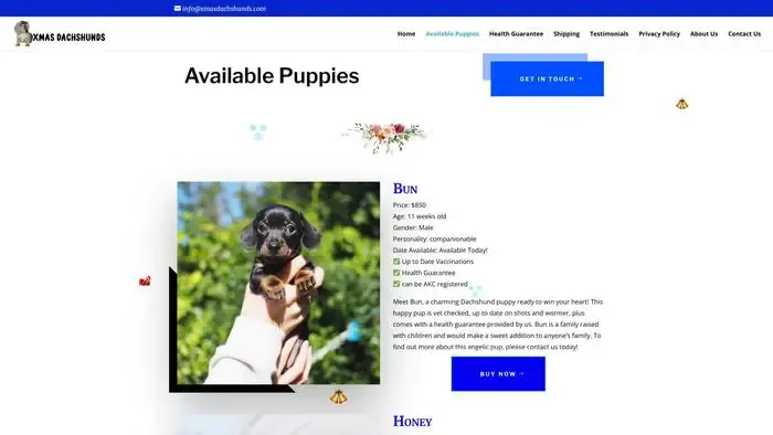 Screenshot of