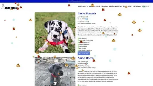 Screenshot of