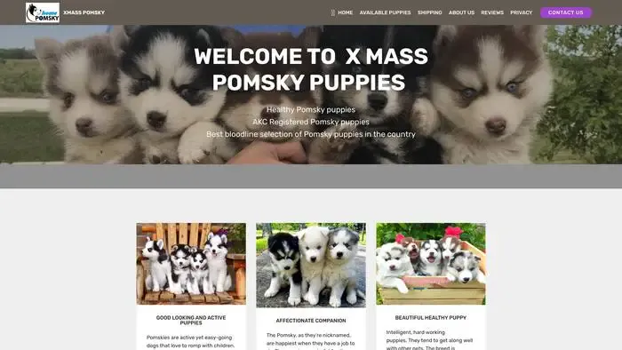 Screenshot of