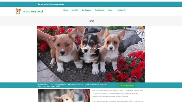 Screenshot of