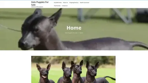 Screenshot of