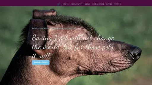 Screenshot of